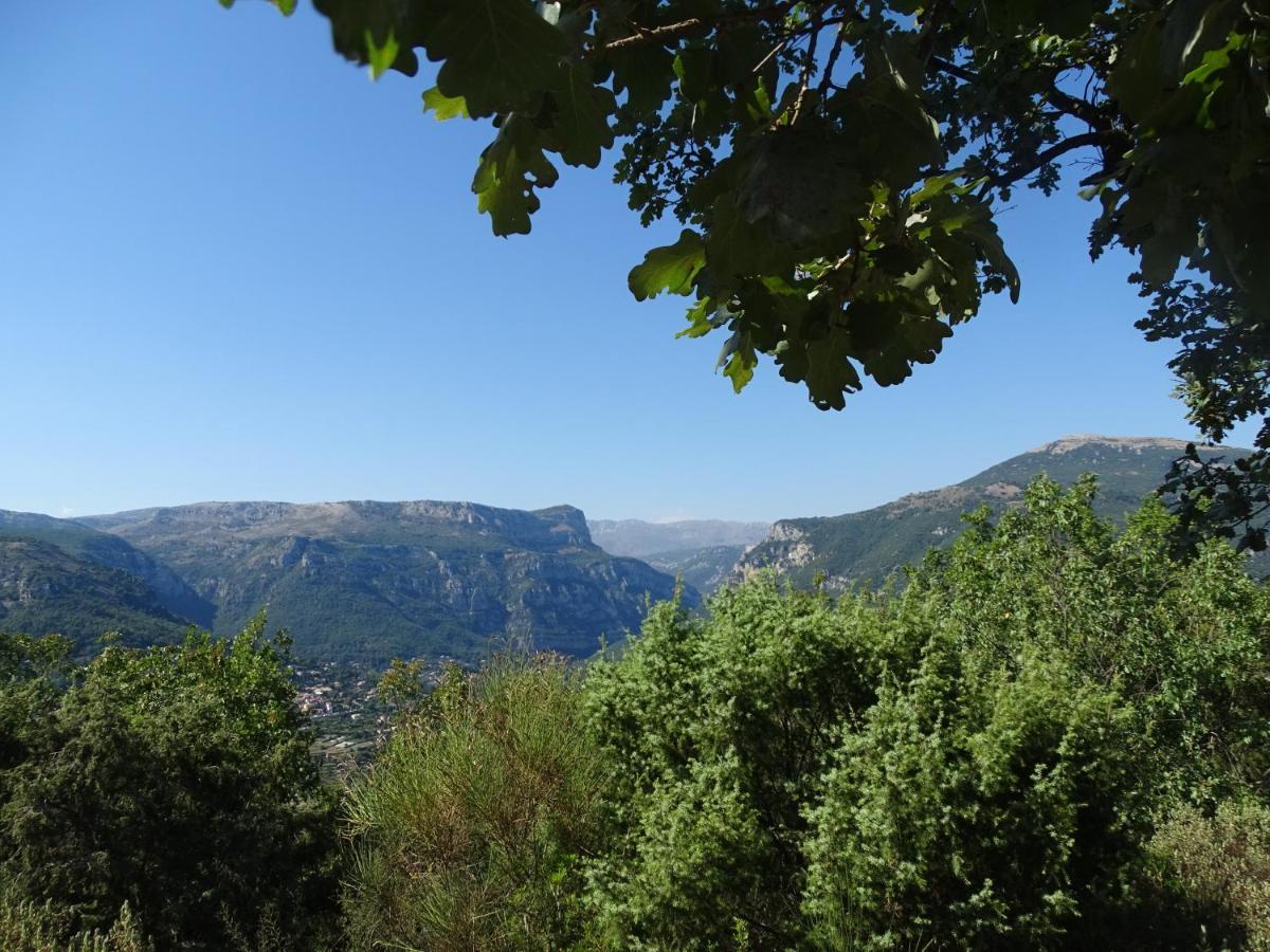 LUVA d'Azur, Rez de villa LE RIOU - LE VALLON Le Bar-sur-Loup Extérieur photo